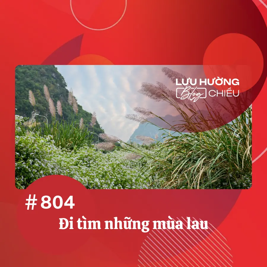 Đi tìm những mùa lau